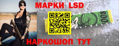 бошки Шелехов