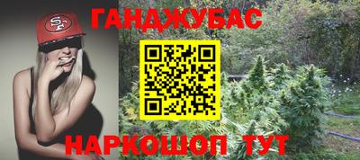 бошки Шелехов