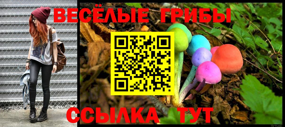 где продают   Галлюциногенные грибы мухоморы  Белорецк  Вход с VPN  Галлюциногенные грибы Psilocybine cubensis 